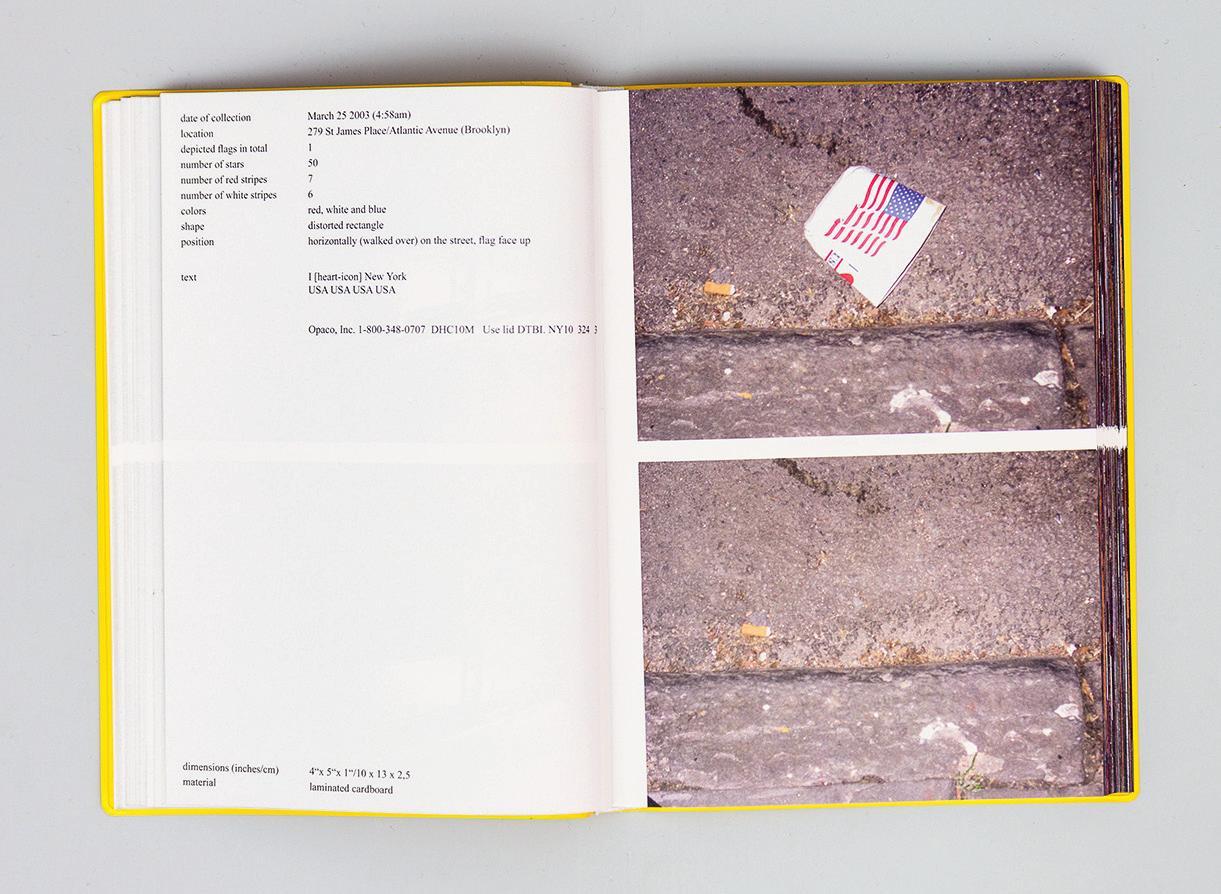 stars & stripes / new york garbage flag profile | michalis pichler
