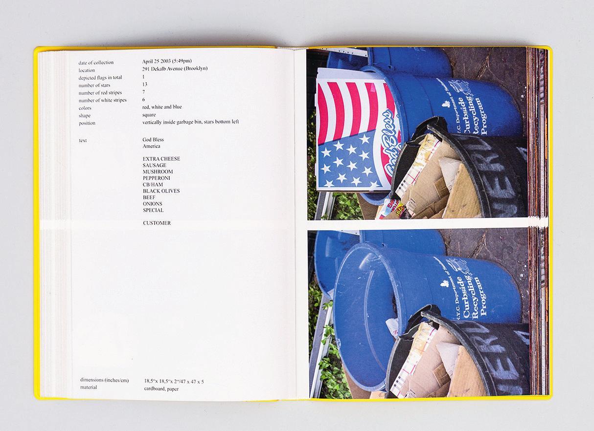 stars & stripes / new york garbage flag profile | michalis pichler