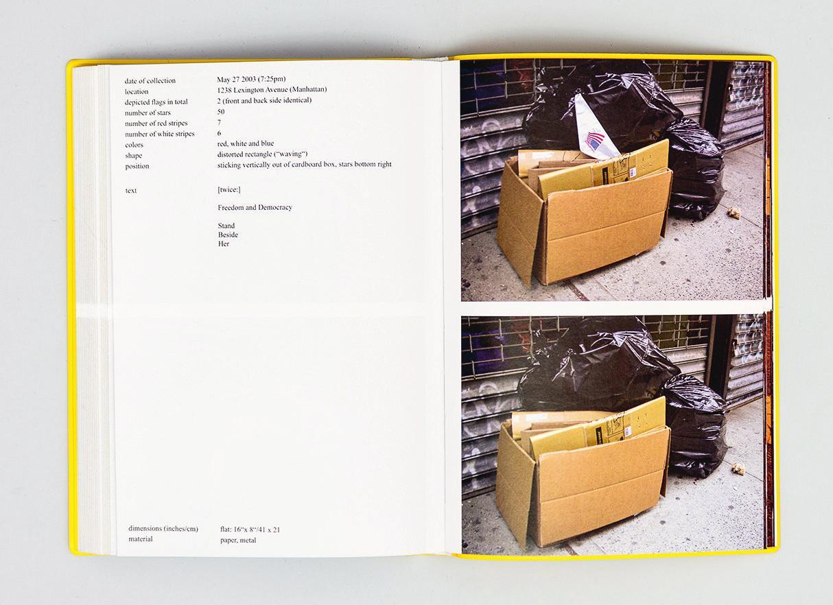 stars & stripes / new york garbage flag profile | michalis pichler