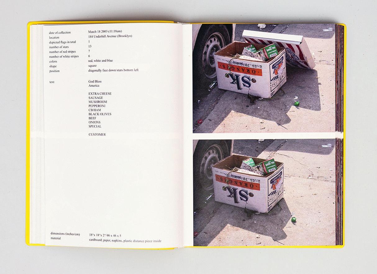 stars & stripes / new york garbage flag profile | michalis pichler