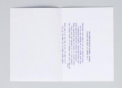 Michalis Pichler, 555 SCHNAPSPRESSE SONNETS, FOLDED, STAPLED AND SOLD IN CHUNKS OF 5 (Leipzig: Lubok Verlag, 2014).