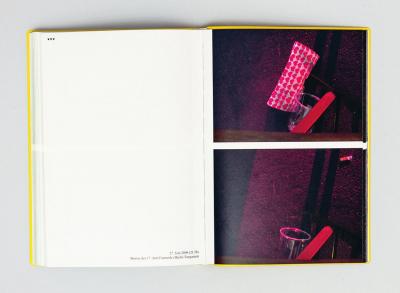 Michalis Pichler, Hearts (Frankfurt: Revolver, Contemporary Art Publishing, Athens: Agra Publishing, 2008).