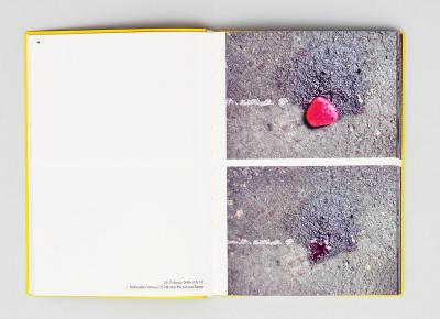 Michalis Pichler, Hearts (Frankfurt: Revolver, Contemporary Art Publishing, Athens: Agra Publishing, 2008).