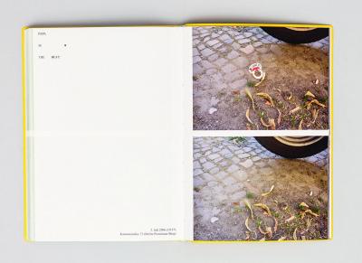 Michalis Pichler, Hearts (Frankfurt: Revolver, Contemporary Art Publishing, Athens: Agra Publishing, 2008).
