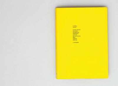 Michalis Pichler, stars &amp; stripes / new york garbage flag profile (Frankfurt: Revolver, Contemporary Art Publishing, Athens: Agra Publishing, 2005).