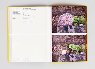 Michalis Pichler, stars &amp; stripes / new york garbage flag profile (Frankfurt: Revolver, Contemporary Art Publishing, Athens: Agra Publishing, 2005).