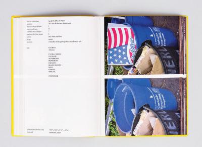 Michalis Pichler, stars &amp; stripes / new york garbage flag profile (Frankfurt: Revolver, Contemporary Art Publishing, Athens: Agra Publishing, 2005).