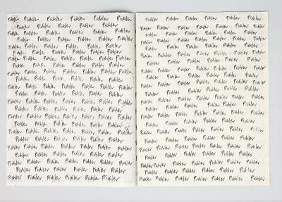 Michalis Pichler, pichler pichler (the beginning of the system of lies) (Berlin: self-published, 2007).