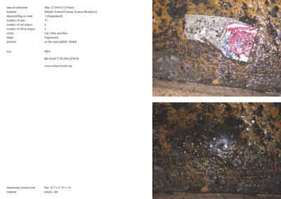 Michalis Pichler, stars &amp; stripes / new york garbage flag profile 2 (Frankfurt: Revolver, Contemporary Art Publishing, 2005).