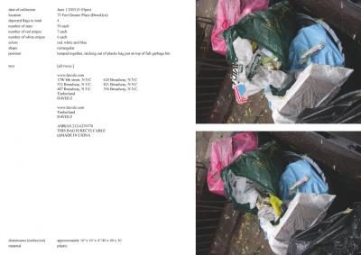 Michalis Pichler, stars &amp; stripes / new york garbage flag profile 2 (Frankfurt: Revolver, Contemporary Art Publishing, 2005).