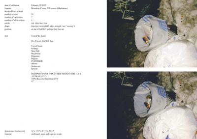 Michalis Pichler, stars &amp; stripes / new york garbage flag profile 2 (Frankfurt: Revolver, Contemporary Art Publishing, 2005).