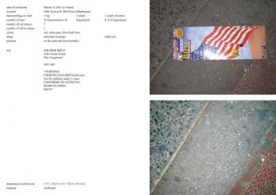 Michalis Pichler, stars &amp; stripes / new york garbage flag profile 2 (Frankfurt: Revolver, Contemporary Art Publishing, 2005).