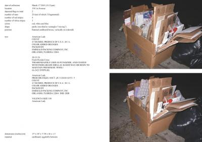 Michalis Pichler, stars &amp; stripes / new york garbage flag profile 2 (Frankfurt: Revolver, Contemporary Art Publishing, 2005).