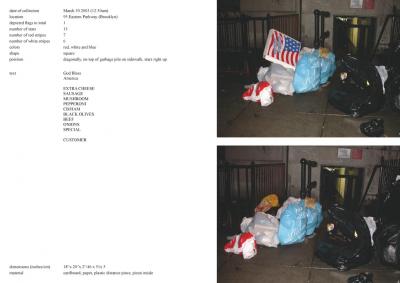 Michalis Pichler, stars &amp; stripes / new york garbage flag profile 2 (Frankfurt: Revolver, Contemporary Art Publishing, 2005).