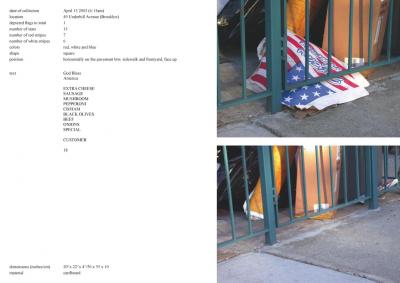 Michalis Pichler, stars &amp; stripes / new york garbage flag profile 2 (Frankfurt: Revolver, Contemporary Art Publishing, 2005).