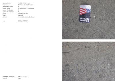 Michalis Pichler, stars &amp; stripes / new york garbage flag profile 2 (Frankfurt: Revolver, Contemporary Art Publishing, 2005).