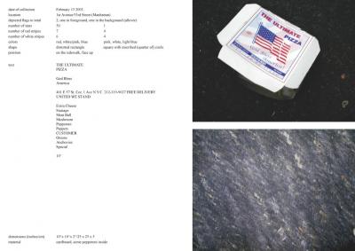 Michalis Pichler, stars &amp; stripes / new york garbage flag profile 2 (Frankfurt: Revolver, Contemporary Art Publishing, 2005).