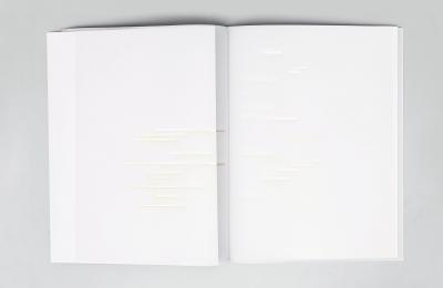 Michalis Pichler, UN COUP DE DÉS JAMAIS N&#039;ABOLIRA LE HASARD  (Berlin: ”greatest hits”, 2008).