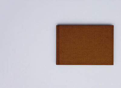 Michalis Pichler, BROTFEHLER (: Book object, 2013).