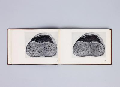 Michalis Pichler, BROTFEHLER (: Book object, 2013).