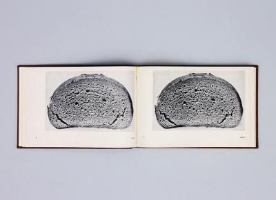 Michalis Pichler, BROTFEHLER (: Book object, 2013).