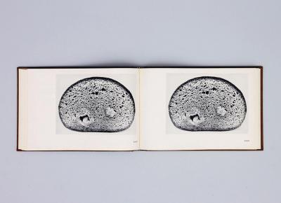 Michalis Pichler, BROTFEHLER (: Book object, 2013).