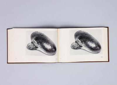 Michalis Pichler, BROTFEHLER (: Book object, 2013).