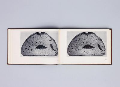 Michalis Pichler, BROTFEHLER (: Book object, 2013).