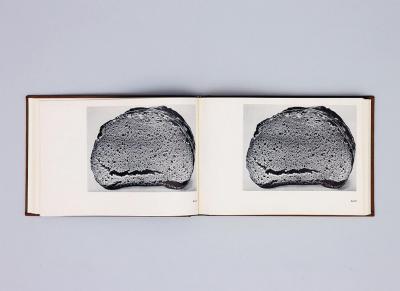 Michalis Pichler, BROTFEHLER (: Book object, 2013).