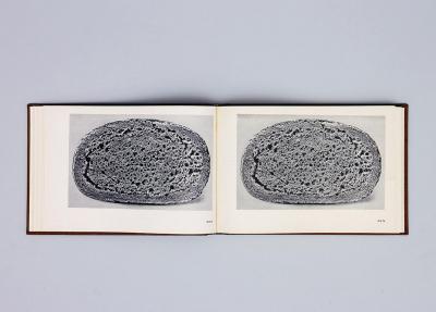 Michalis Pichler, BROTFEHLER (: Book object, 2013).