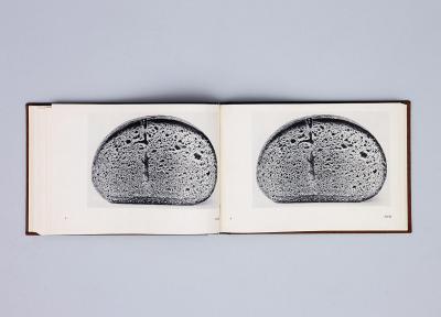 Michalis Pichler, BROTFEHLER (: Book object, 2013).