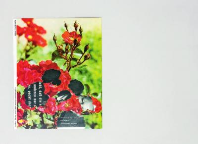 Michalis Pichler, FLORIBUNDAROSEN (Leipzig: Lubok Verlag, 2014).