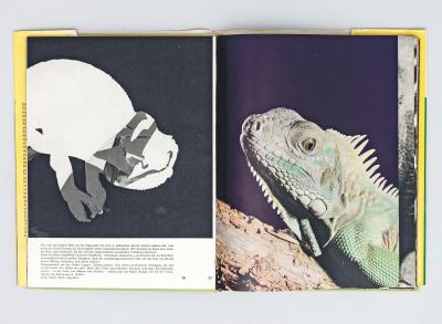 Michalis Pichler, untitled (chamaeleons), collage in book