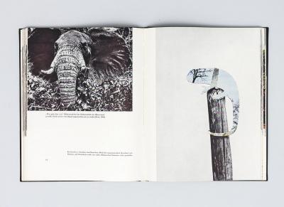 Michalis Pichler, untitled (chamaeleons), collage in book