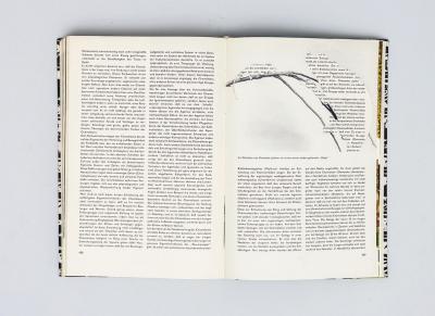 Michalis Pichler, untitled (chamaeleons), collage in book