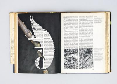 Michalis Pichler, untitled (chamaeleons), collage in book