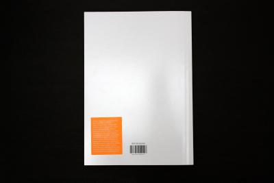 Pichler Michalis, Thirteen Years: The materialization of ideas from 2002 to 2015 (Softcover) (Leipzig: Spector Books, New York: Printed Matter, Inc., 2015).
