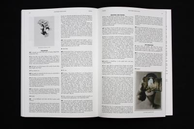 Pichler Michalis, Thirteen Years: The materialization of ideas from 2002 to 2015 (Softcover) (Leipzig: Spector Books, New York: Printed Matter, Inc., 2015).