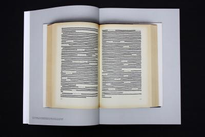 Pichler Michalis, Thirteen Years: The materialization of ideas from 2002 to 2015 (Softcover) (Leipzig: Spector Books, New York: Printed Matter, Inc., 2015).