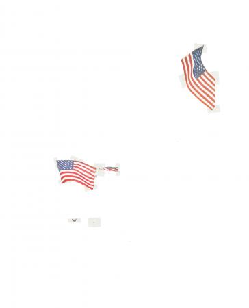 NEW YORK POST flag profile, page 71, Michalis Pichler, 2002