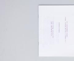 Michalis Pichler, 555 SCHNAPSPRESSE SONNETS, FOLDED, STAPLED AND SOLD IN CHUNKS OF 5 (Leipzig: Lubok Verlag, 2014).