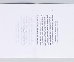 Michalis Pichler, 555 SCHNAPSPRESSE SONNETS, FOLDED, STAPLED AND SOLD IN CHUNKS OF 5 (Leipzig: Lubok Verlag, 2014).