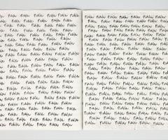 Michalis Pichler, pichler pichler (the beginning of the system of lies) (Berlin: self-published, 2007).