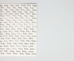 Michalis Pichler, pichler pichler (the beginning of the system of lies) (Berlin: self-published, 2007).