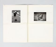 Michalis Pichler, Some Fallen umbrellas and something else (Marseille: UL(S), 2008).