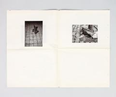 Michalis Pichler, Some Fallen umbrellas and something else (Marseille: UL(S), 2008).