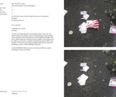 Michalis Pichler, stars & stripes / new york garbage flag profile 2 (Frankfurt: Revolver, Contemporary Art Publishing, 2005).