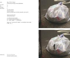 Michalis Pichler, stars & stripes / new york garbage flag profile 2 (Frankfurt: Revolver, Contemporary Art Publishing, 2005).