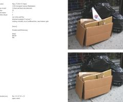 Michalis Pichler, stars & stripes / new york garbage flag profile 2 (Frankfurt: Revolver, Contemporary Art Publishing, 2005).