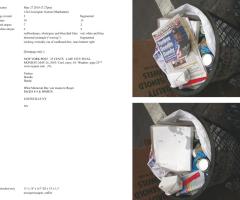 Michalis Pichler, stars & stripes / new york garbage flag profile 2 (Frankfurt: Revolver, Contemporary Art Publishing, 2005).